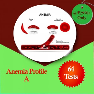 Anemia Profile A