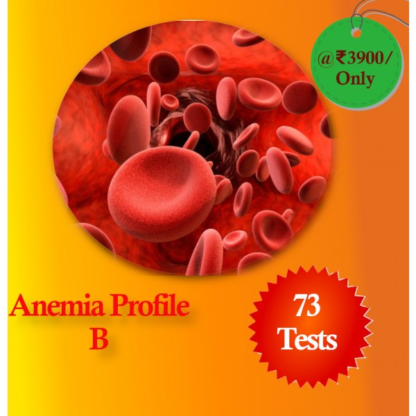 Anemia Profile B