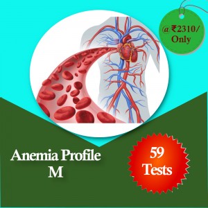 Anemia Profile M