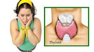 thyroid test